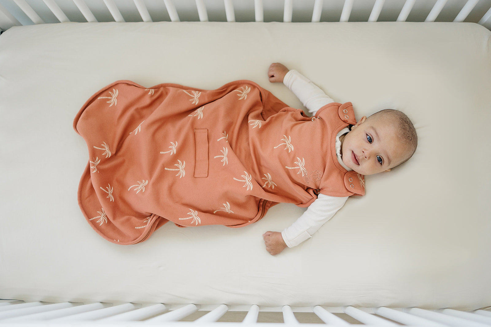 Ecolino Crib Sheet, 100% Organic Cotton, Oat
